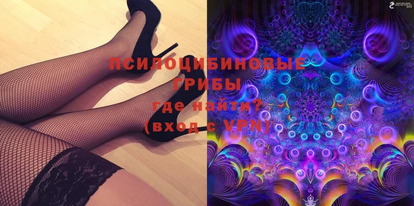 СК Арсеньев