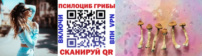 Галлюциногенные грибы MAGIC MUSHROOMS  продажа наркотиков  Уржум 